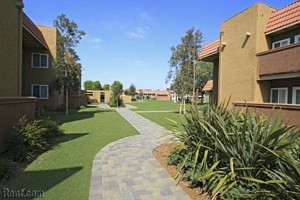 communal garden