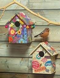 painted bird boxes