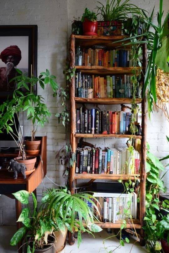 plants and bookshelf
