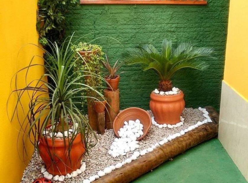 potted plant ideas (1)