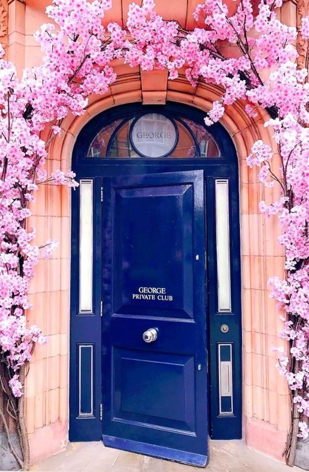 colourful front doors (5)