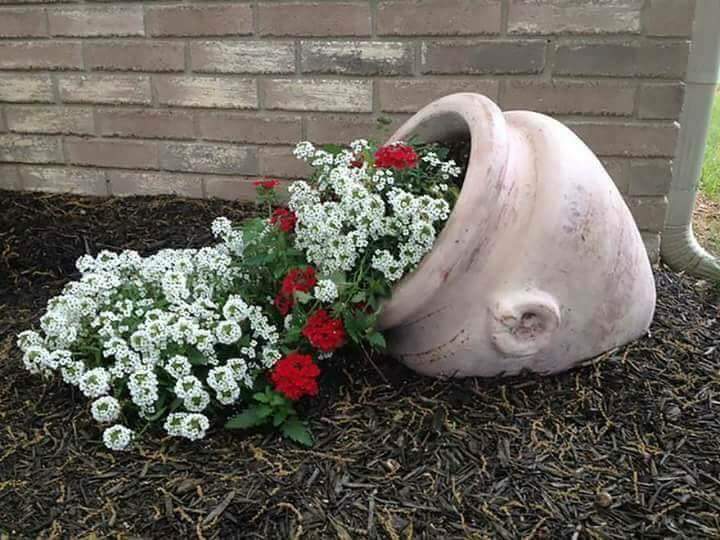 Knocked Over Flower Pot Ideas