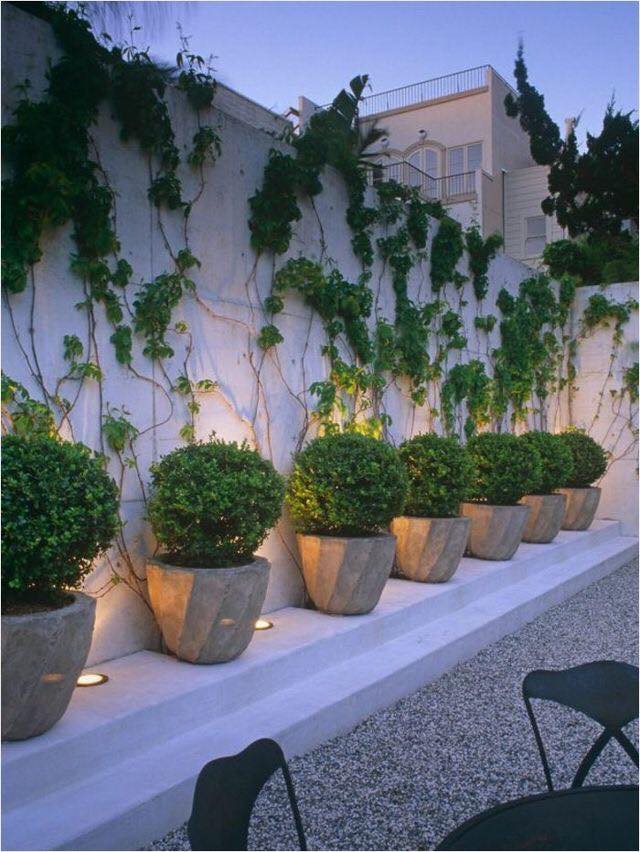 garden ideas (6)