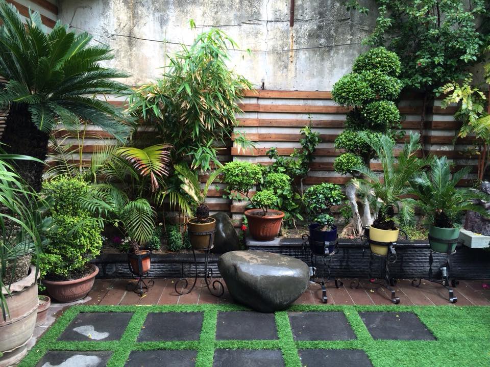 small garden ideas (2)