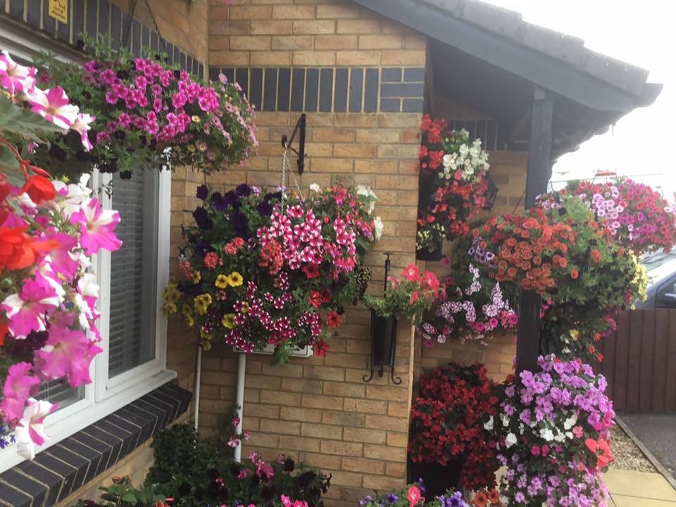 vertical garden tour (4)