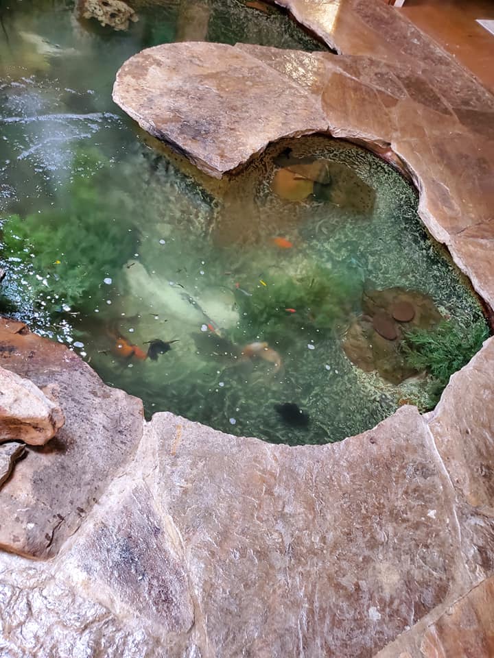 indoor pond ideas (5)