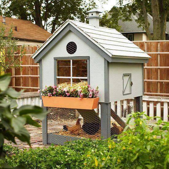 chicken coop ideas (10)