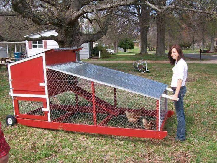 chicken coop ideas (18)