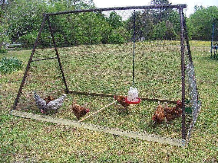 chicken coop ideas (19)