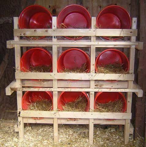 chicken coop ideas (4)