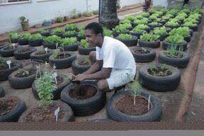 tire gardens (17)