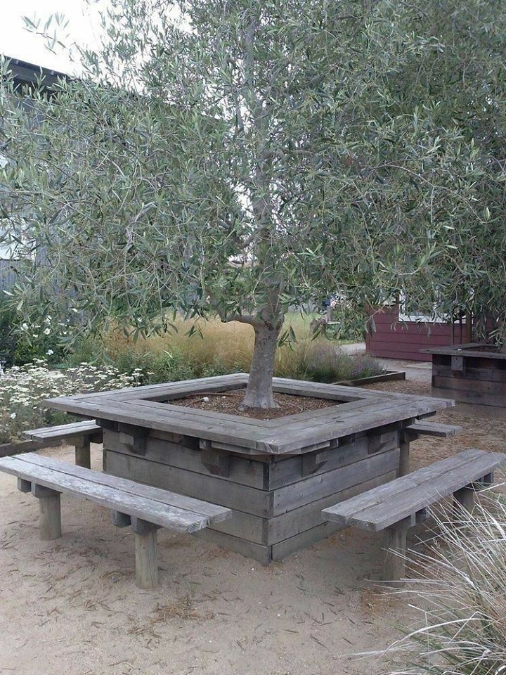 tree benches (4)