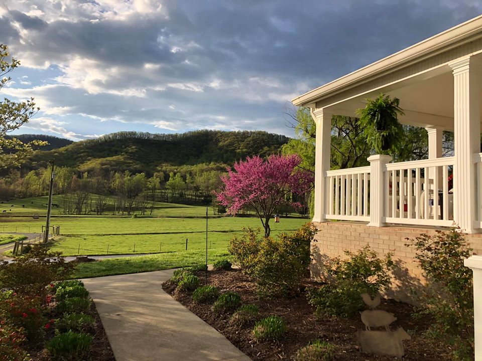 Our farm is in at the base of Blue Ridge Mountains in South West Virginia, USA (12)