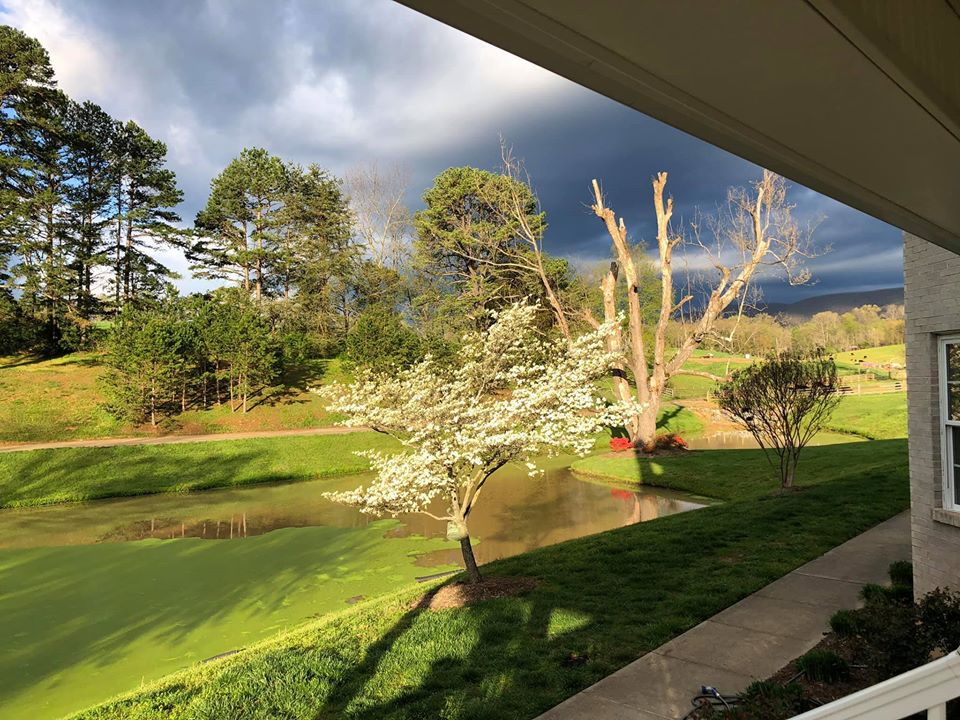 Our farm is in at the base of Blue Ridge Mountains in South West Virginia, USA (9)