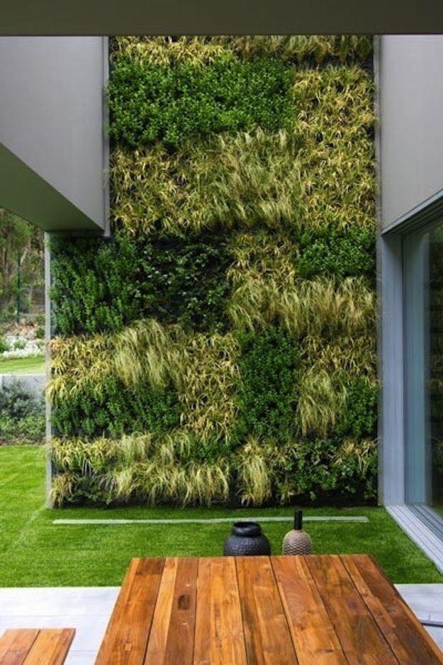 internal vertical gardens (11)