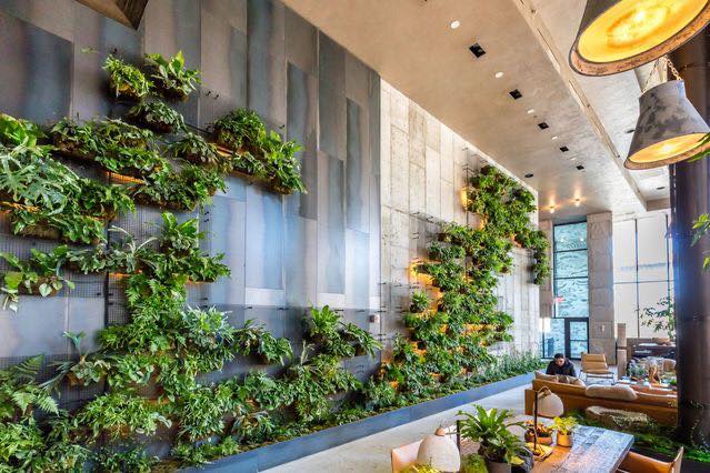 internal vertical gardens (13)