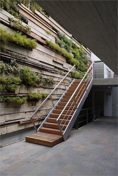 internal vertical gardens (5)