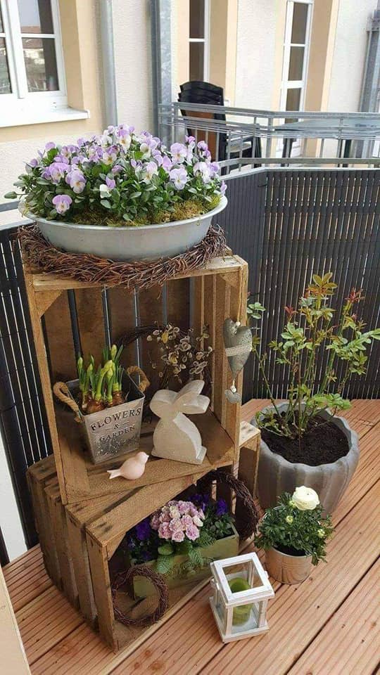 plant pot display ideas (3)