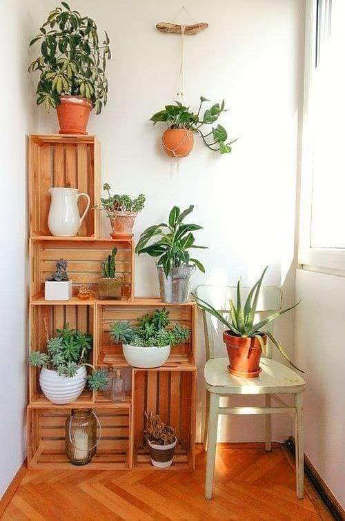 wall hanging planters (3)