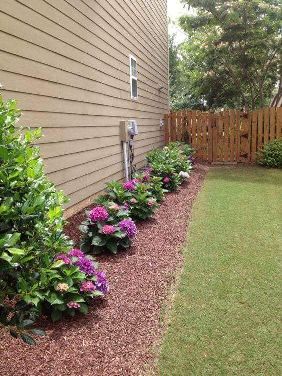 boarder planting ideas (14)