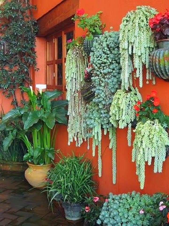 vertical garden ideas (6)