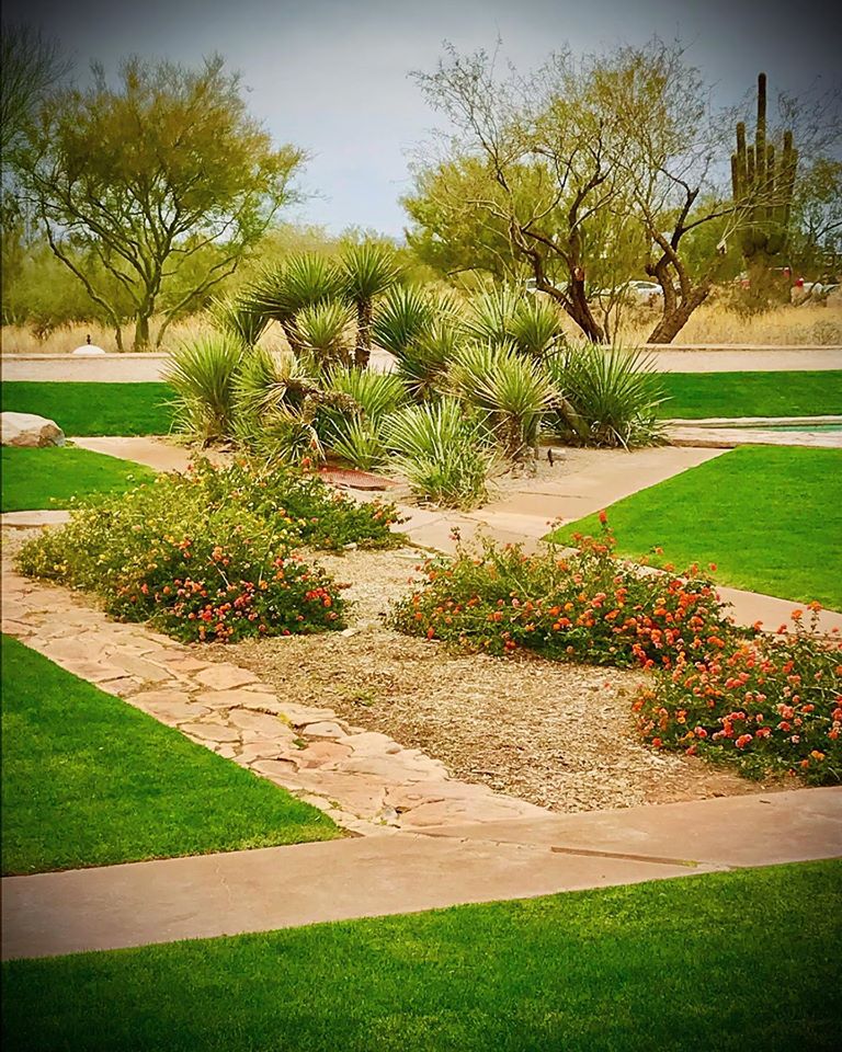 Random Garden Ideas (3)