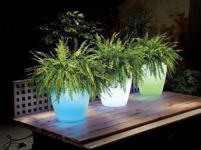 illuminated plant pots (1)