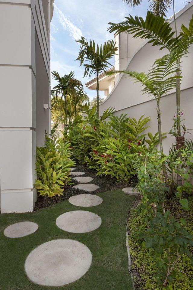 palm tree gardens (1)