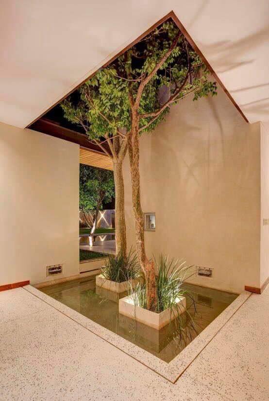 Modern Indoor Gardens (10)