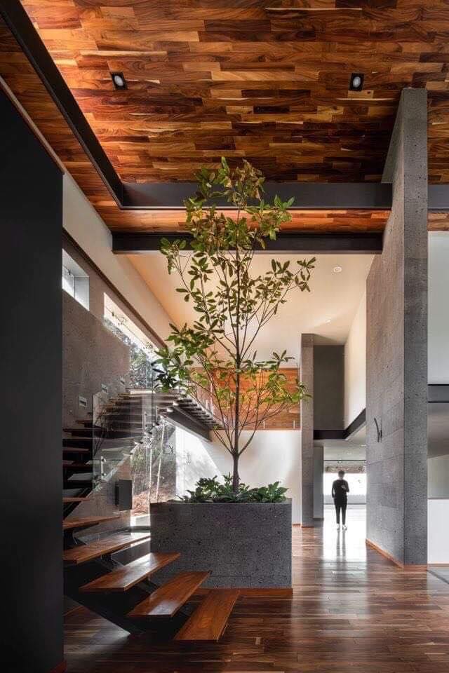 Modern Indoor Gardens (11)