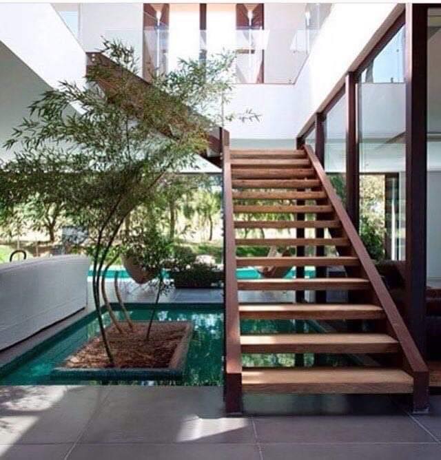 Modern Indoor Gardens (12)