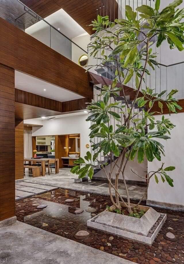 Modern Indoor Gardens (13)