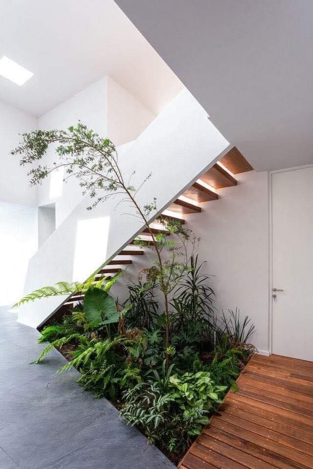 Modern Indoor Gardens (4)