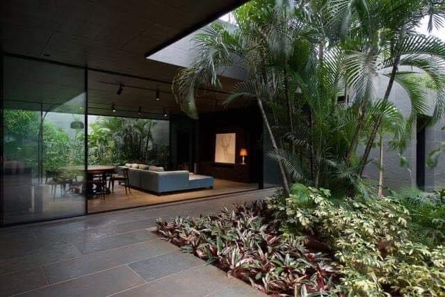 Modern Indoor Gardens (7)