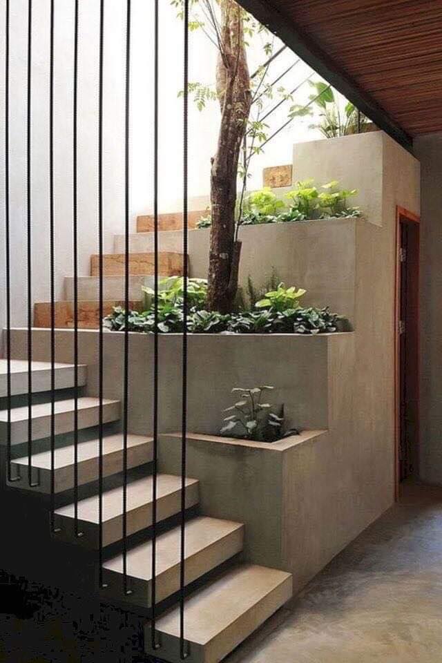 Modern Indoor Gardens (9)