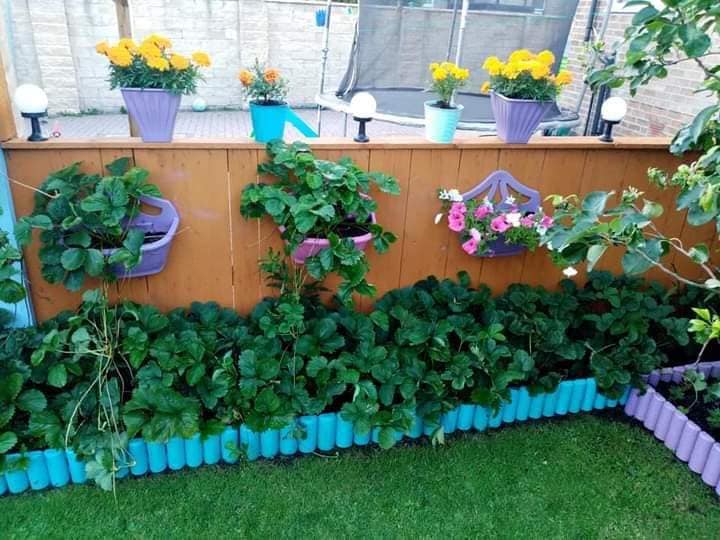 colourful plant pot ideas (11)