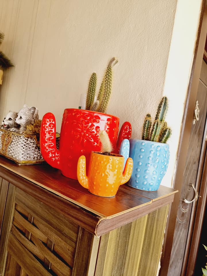 colourful plant pot ideas (18)