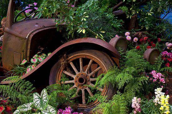 cars in gardens (2)