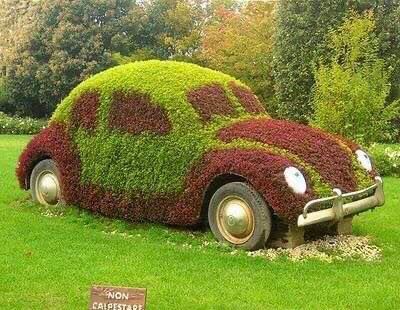 cars in gardens (27)