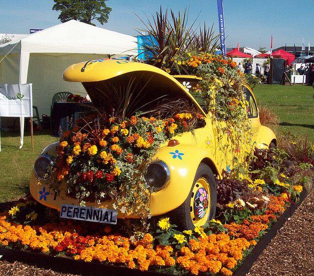 cars in gardens (38)