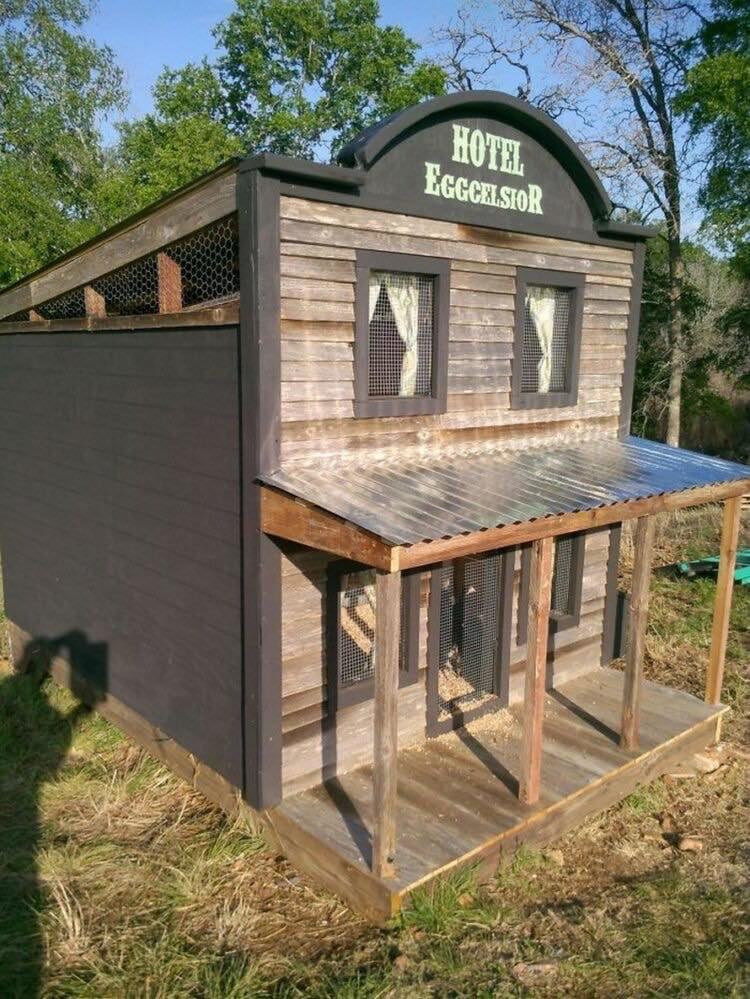 chicken coop ideas (3)