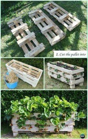 garden planter ideas (3)