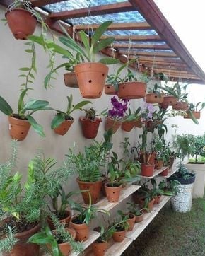 plant pot shelf ideas (9)