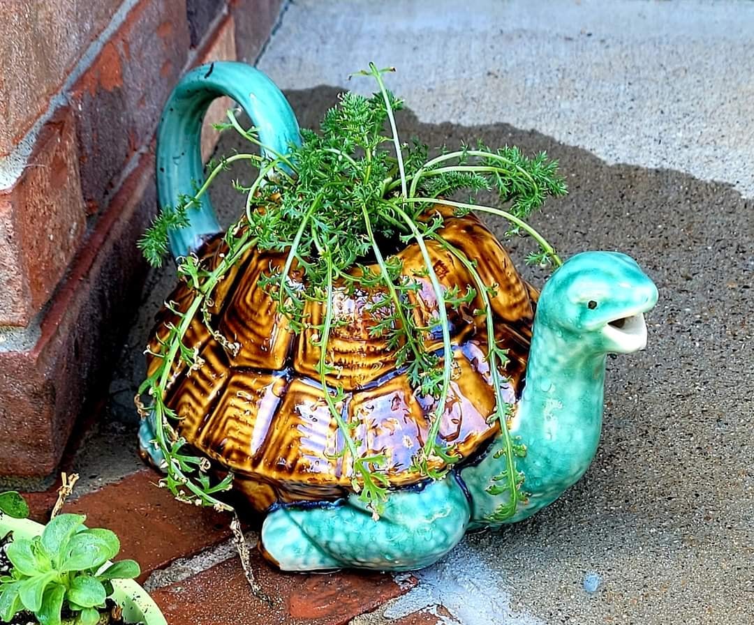 upcycle gardening (2)