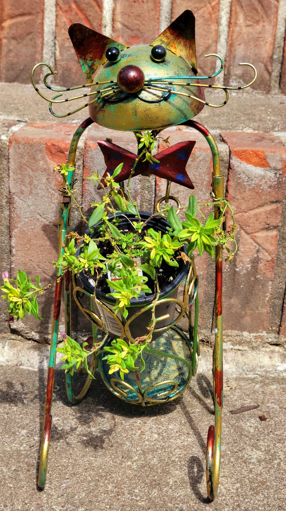 upcycle gardening (9)