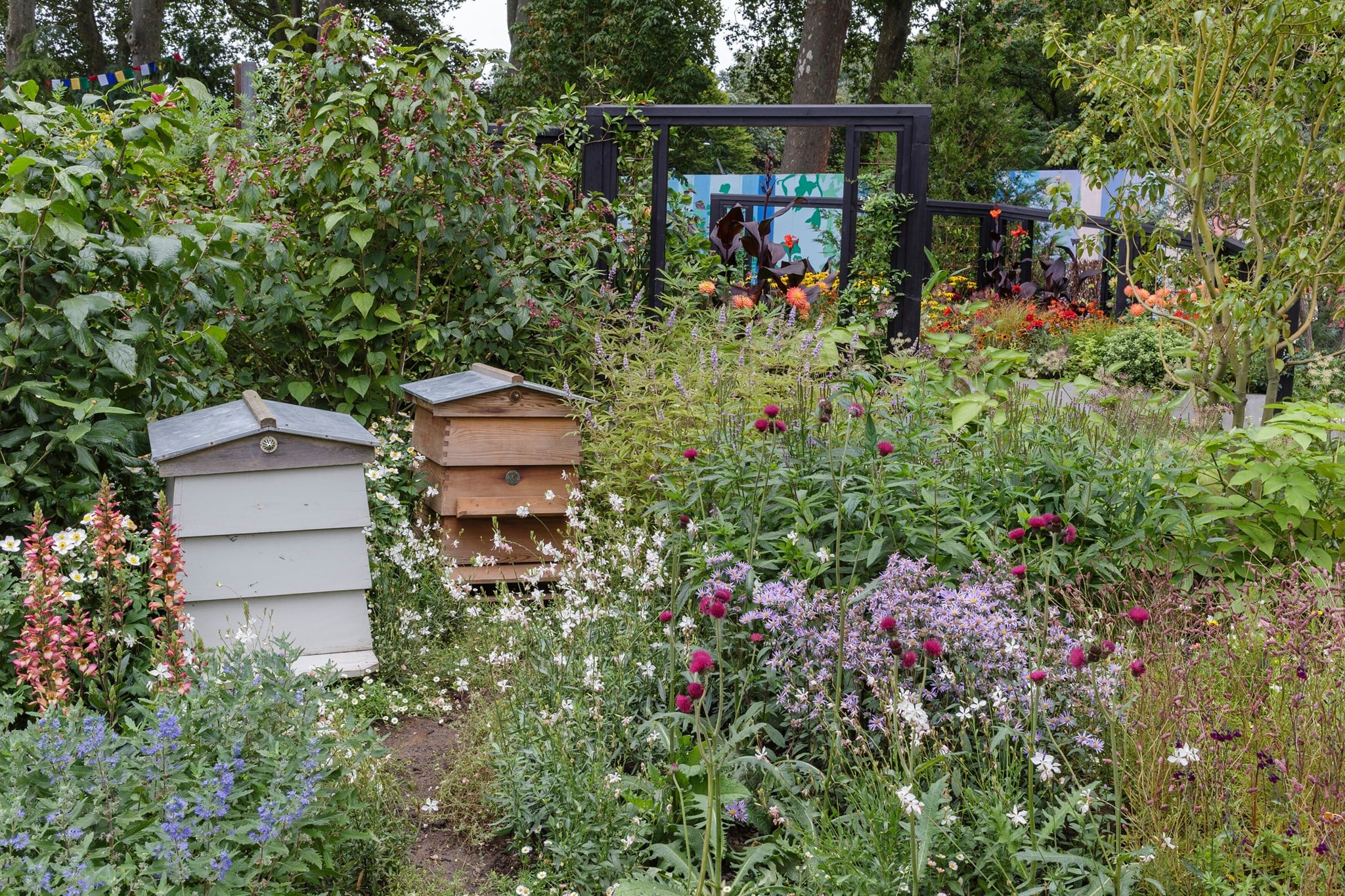 RHSChelsea (10)