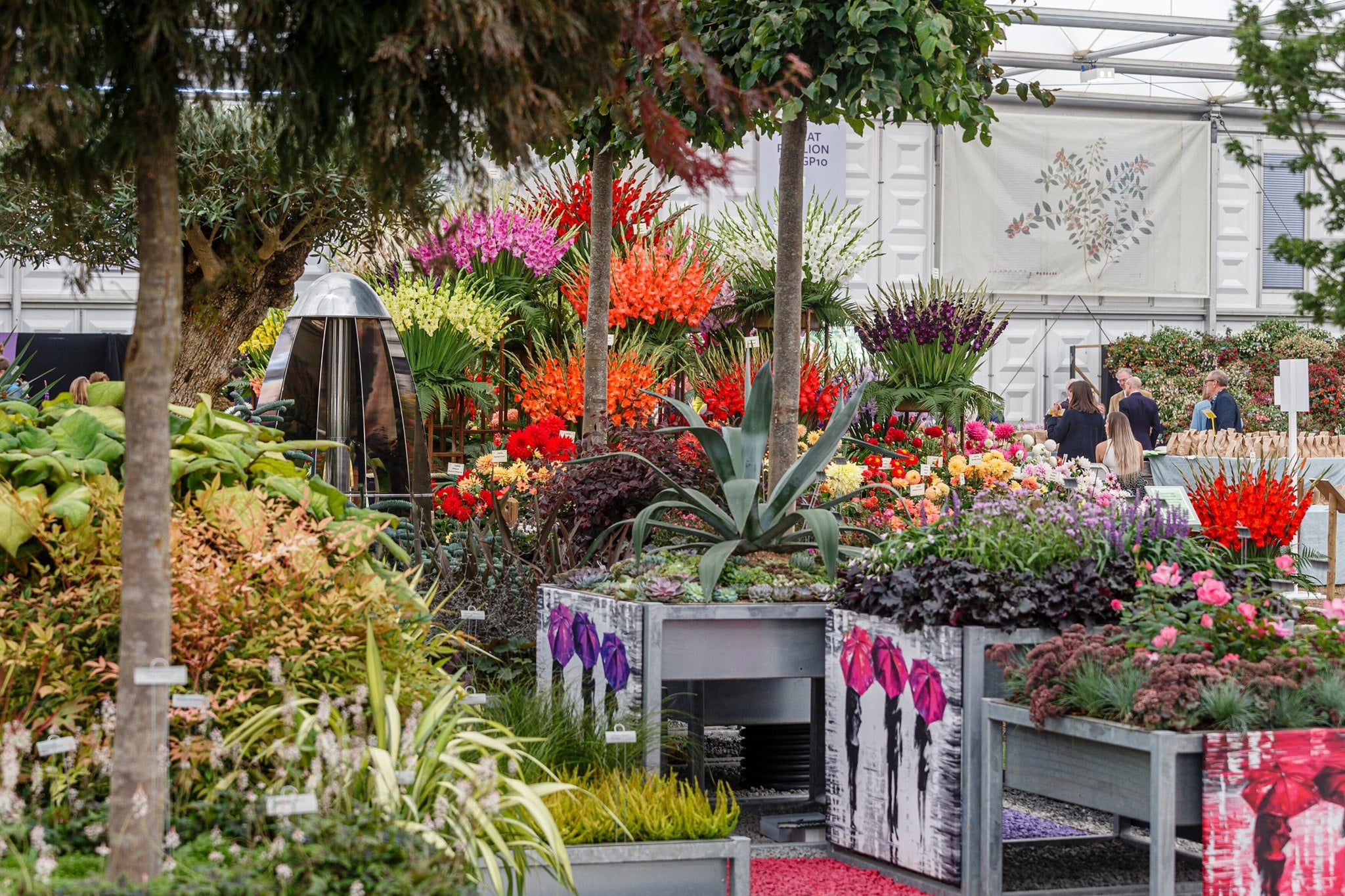 RHSChelsea (16)