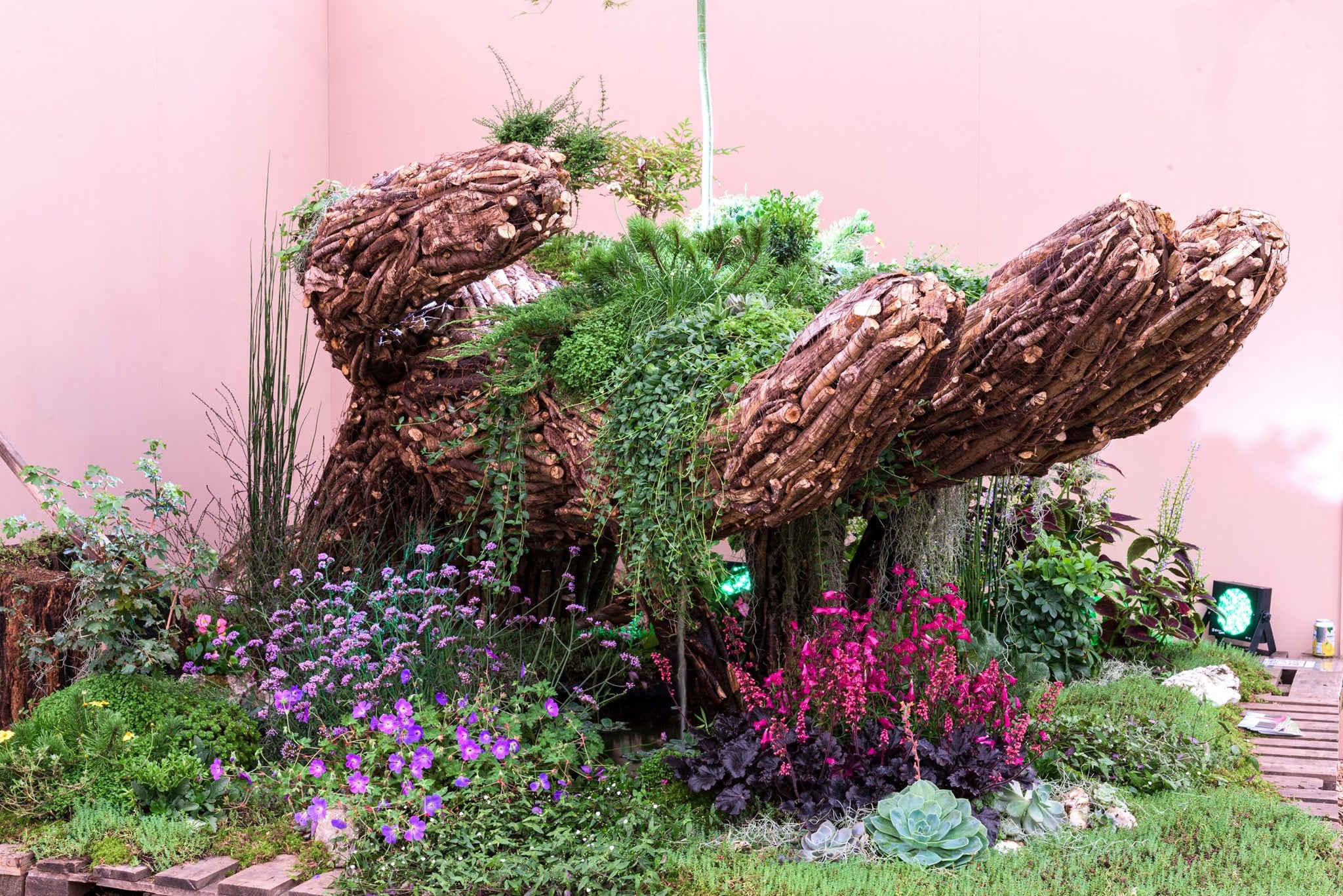 RHSChelsea (3)