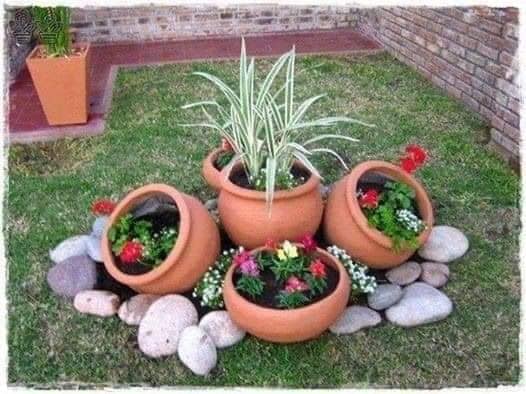 garden with stones and plants (15)