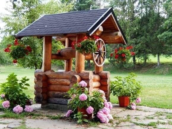 garden with stones and plants (17)